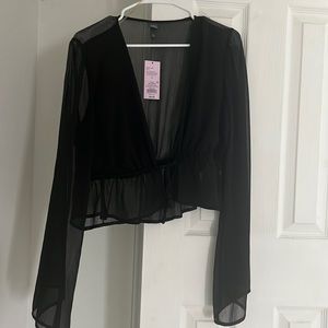 NWT crop LS sheer top